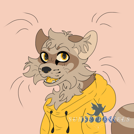 Sam's Raccoon Sona